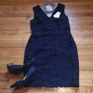 Banana Republic navy sheath lace dress size 12